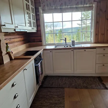 Trivelig I Trysilfjellet 特吕西尔