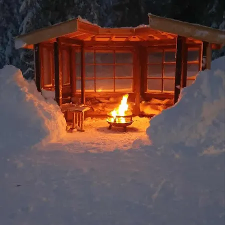 Trivelig I Trysilfjellet 度假居 *